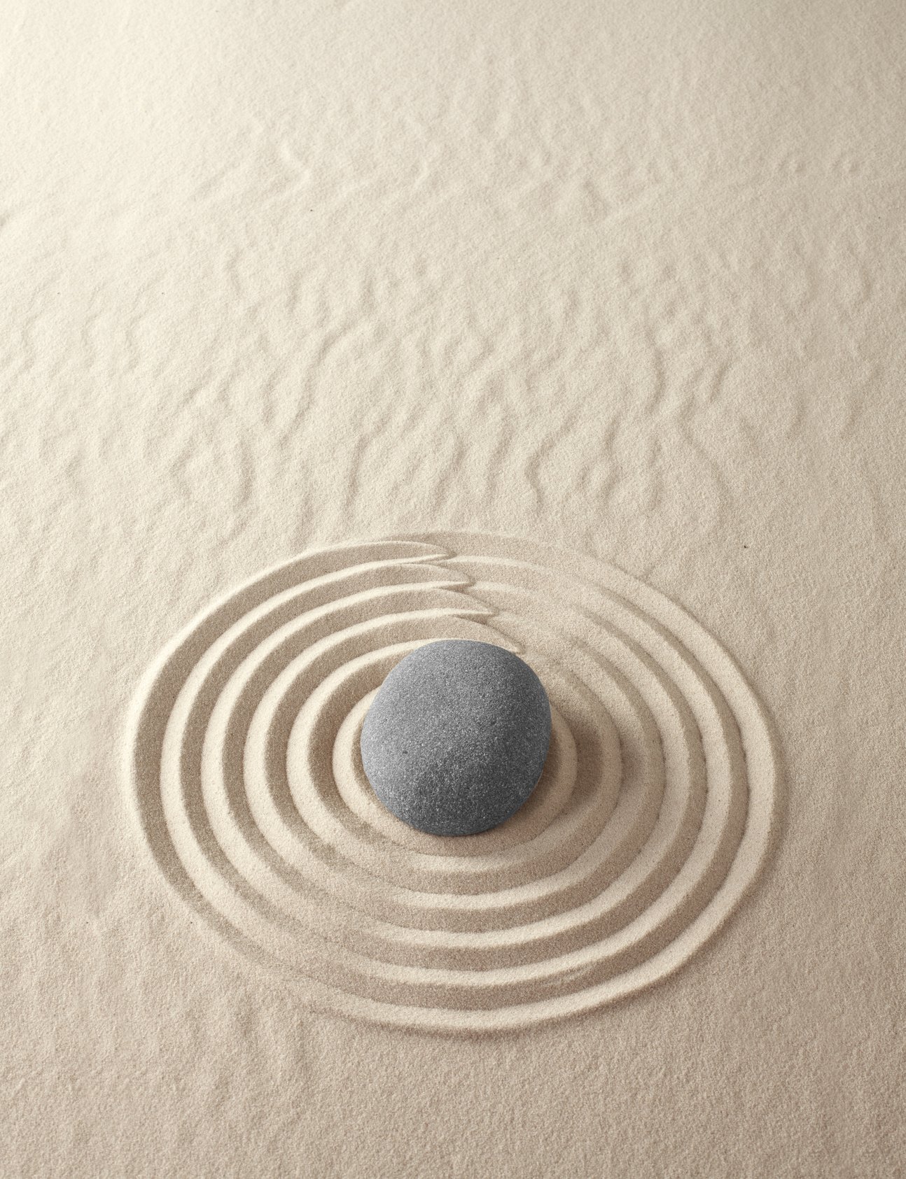 zen meditation garden